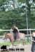 staldeeikimg_1736_small.jpg