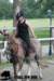 staldeeikimg_1737_small.jpg