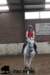 staldeeikimg_1742_small.jpg