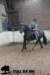 staldeeikimg_1747_small.jpg