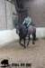 staldeeikimg_1748_small.jpg