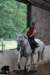 staldeeikimg_1750_small.jpg