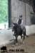 staldeeikimg_1754_small.jpg