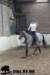 staldeeikimg_1757_small.jpg