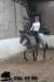 staldeeikimg_1758_small.jpg