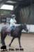 staldeeikimg_1768_small.jpg