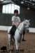 staldeeikimg_1794_small.jpg