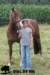 staldeeikimg_1800_small.jpg