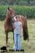 staldeeikimg_1801_small.jpg