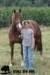 staldeeikimg_1805_small.jpg