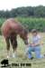 staldeeikimg_1814_small.jpg