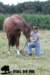 staldeeikimg_1817_small.jpg