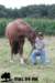 staldeeikimg_1818_small.jpg