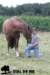 staldeeikimg_1819_small.jpg