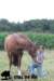 staldeeikimg_1820_small.jpg