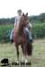 staldeeikimg_1826_small.jpg