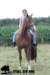 staldeeikimg_1830_small.jpg