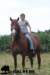 staldeeikimg_1834_small.jpg