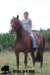 staldeeikimg_1835_small.jpg