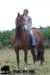 staldeeikimg_1837_small.jpg