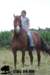 staldeeikimg_1838_small.jpg