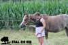 staldeeikimg_1870_small.jpg