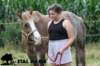 staldeeikimg_1878_small.jpg