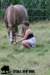staldeeikimg_1882_small.jpg