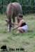 staldeeikimg_1883_small.jpg