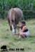 staldeeikimg_1885_small.jpg