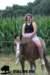 staldeeikimg_1893_small.jpg
