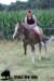 staldeeikimg_1896_small.jpg