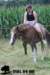 staldeeikimg_1897_small.jpg