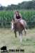 staldeeikimg_1898_small.jpg