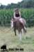 staldeeikimg_1900_small.jpg