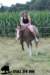 staldeeikimg_1901_small.jpg