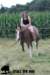 staldeeikimg_1902_small.jpg