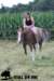 staldeeikimg_1903_small.jpg