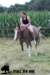 staldeeikimg_1904_small.jpg