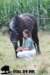 staldeeikimg_2022_small.jpg