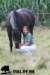 staldeeikimg_2025_small.jpg