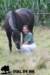 staldeeikimg_2027_small.jpg