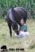 staldeeikimg_2028_small.jpg