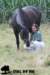 staldeeikimg_2029_small.jpg