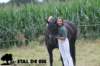 staldeeikimg_2030_small.jpg