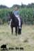 staldeeikimg_2046_small.jpg