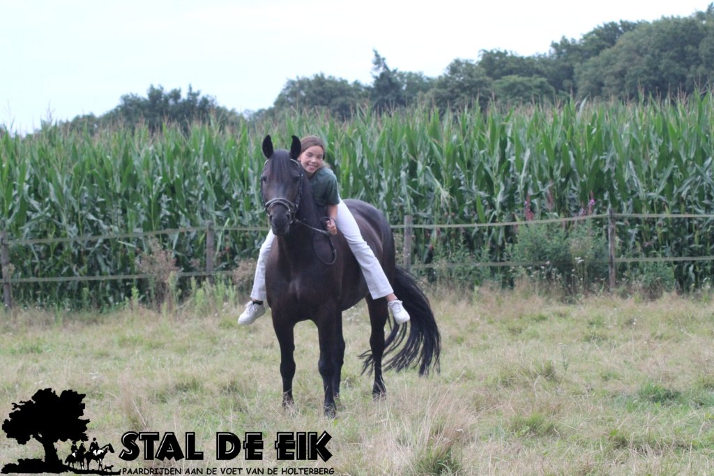 staldeeikimg_2049.jpg