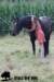 staldeeikimg_2068_small.jpg
