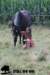 staldeeikimg_2071_small.jpg
