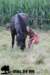 staldeeikimg_2077_small.jpg